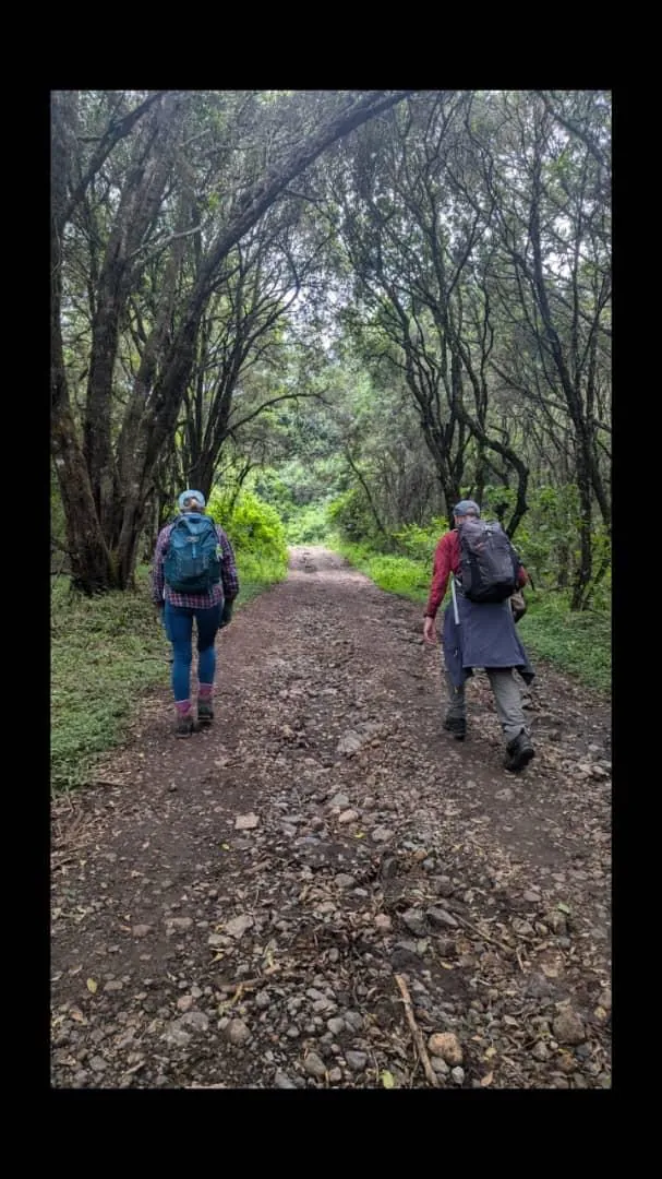 Mount Kilimanjaro trekking landscape